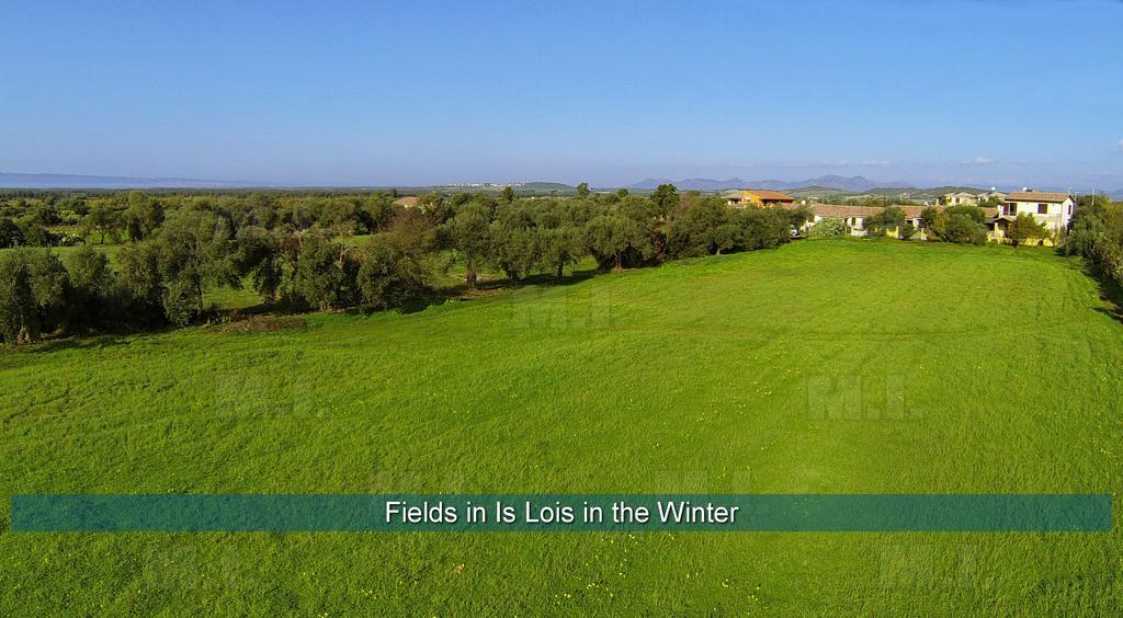 Il Fenicottero Apartment Masainas Bagian luar foto