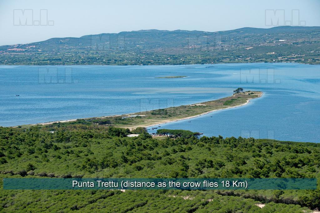 Il Fenicottero Apartment Masainas Bagian luar foto